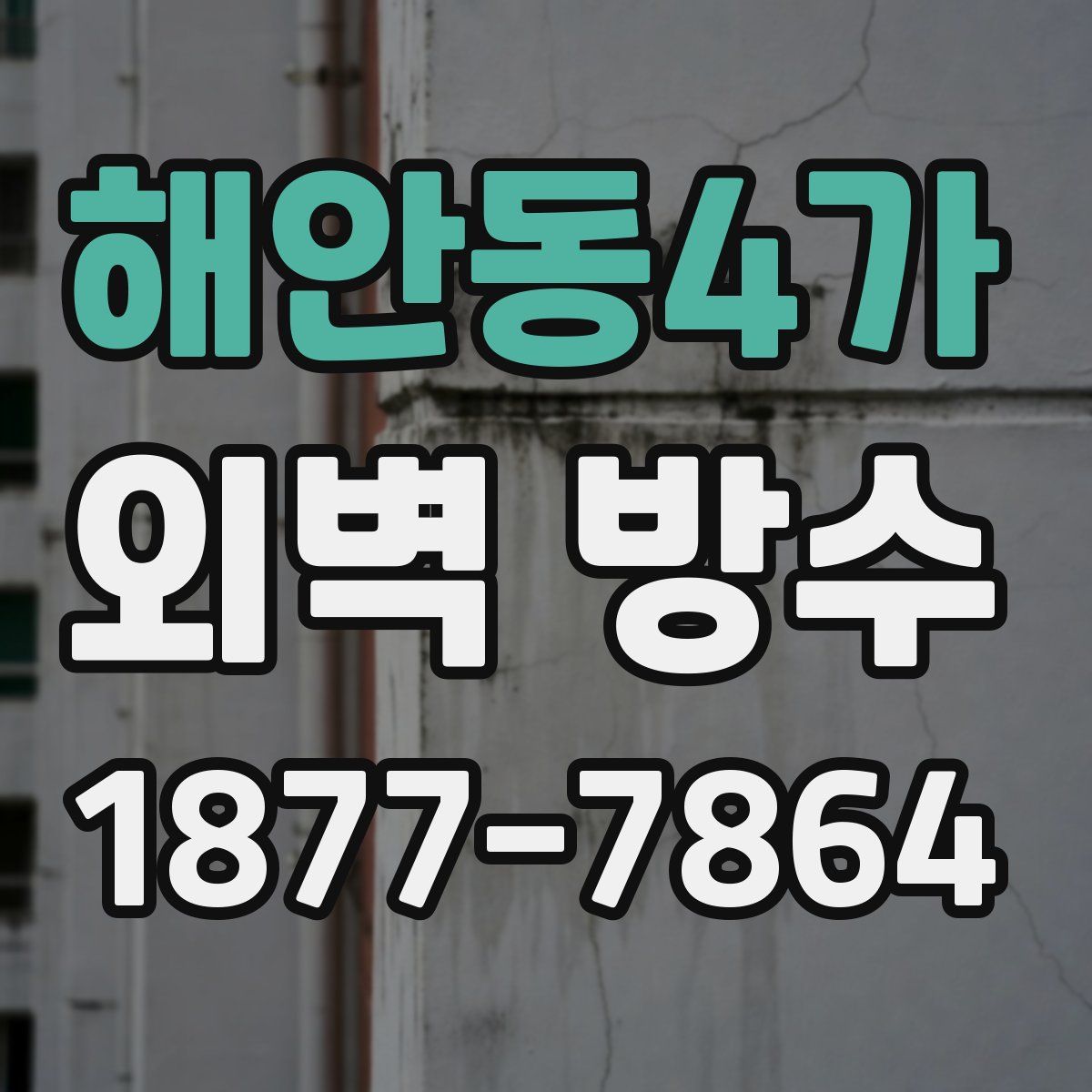 해안동4가 외벽 방수