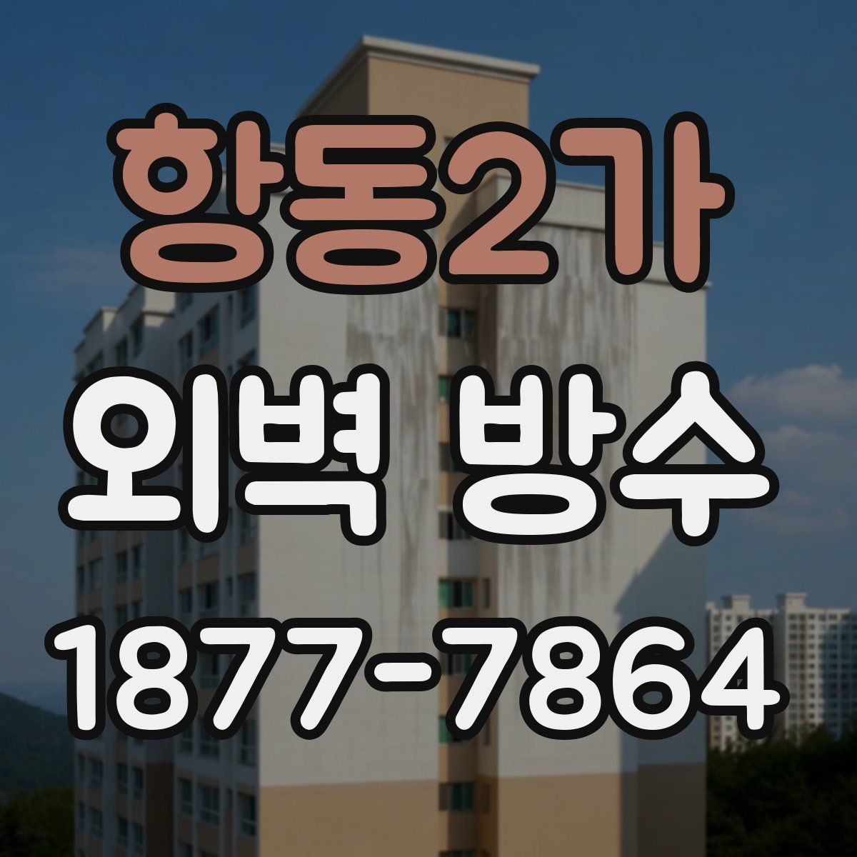 항동2가 외벽 방수