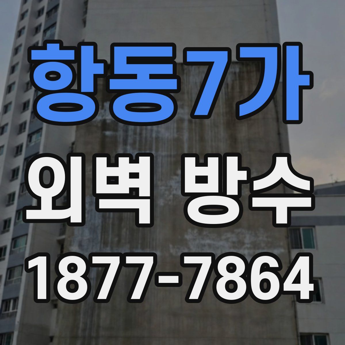 항동7가 외벽 방수