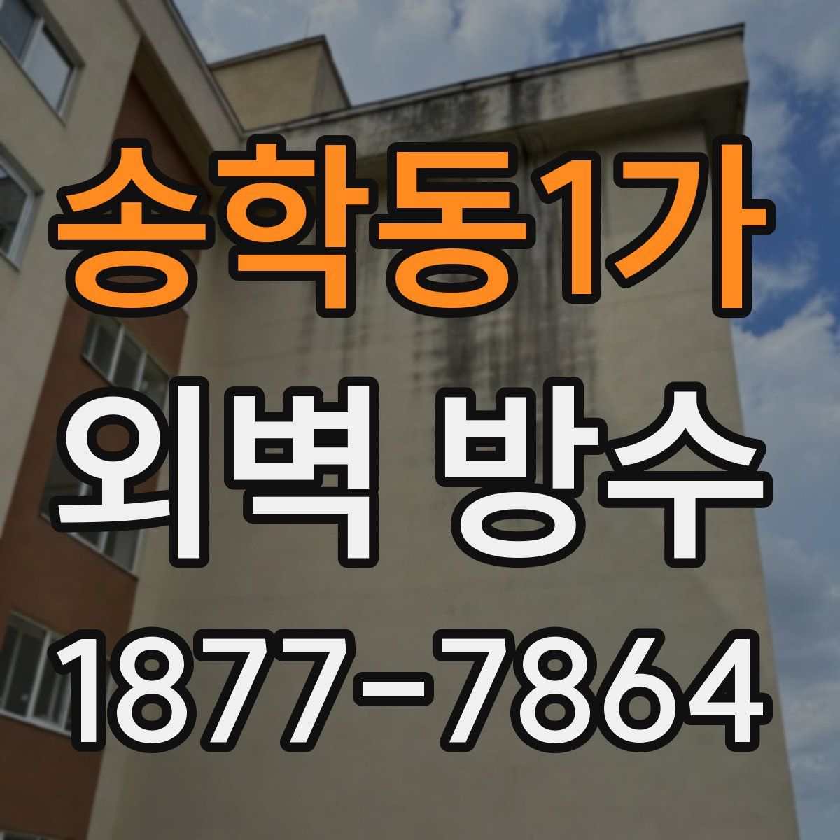 송학동1가 외벽 방수