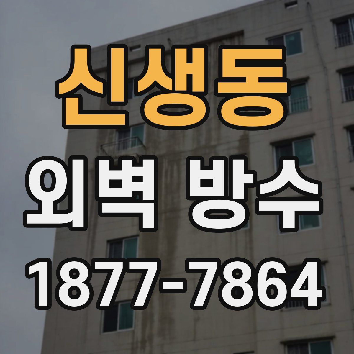 신생동 외벽 방수