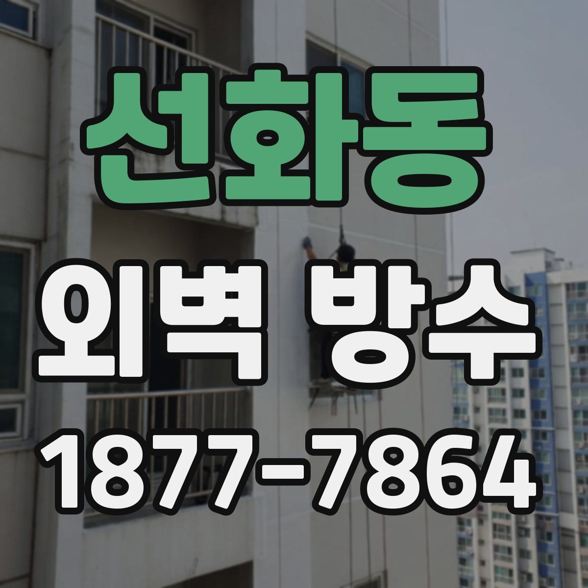선화동 외벽 방수