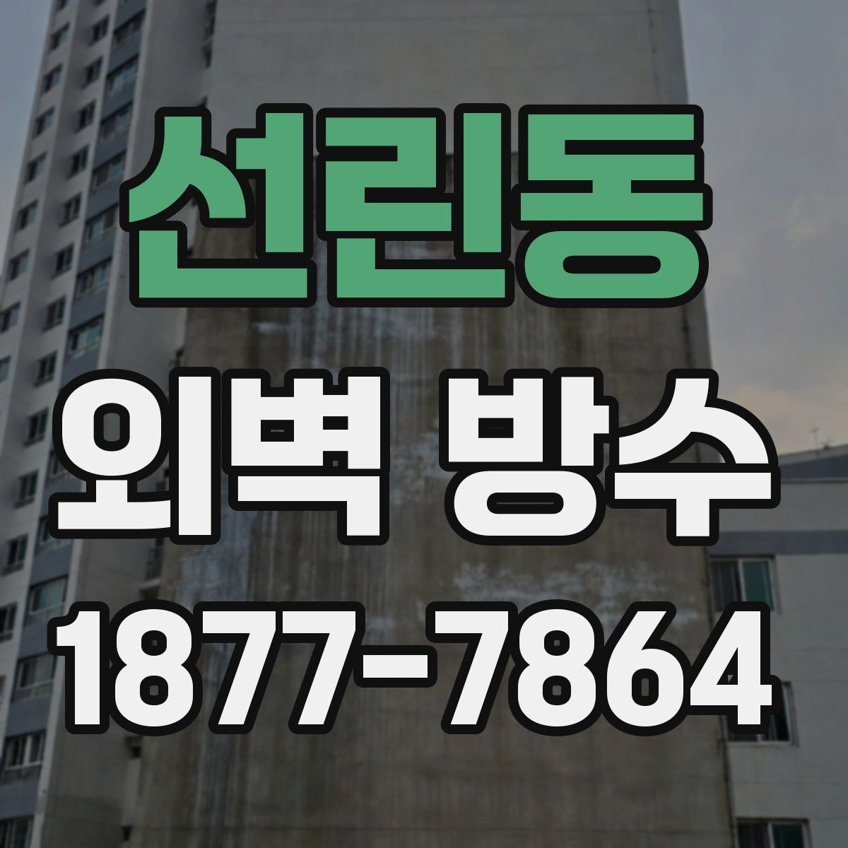 선린동 외벽 방수