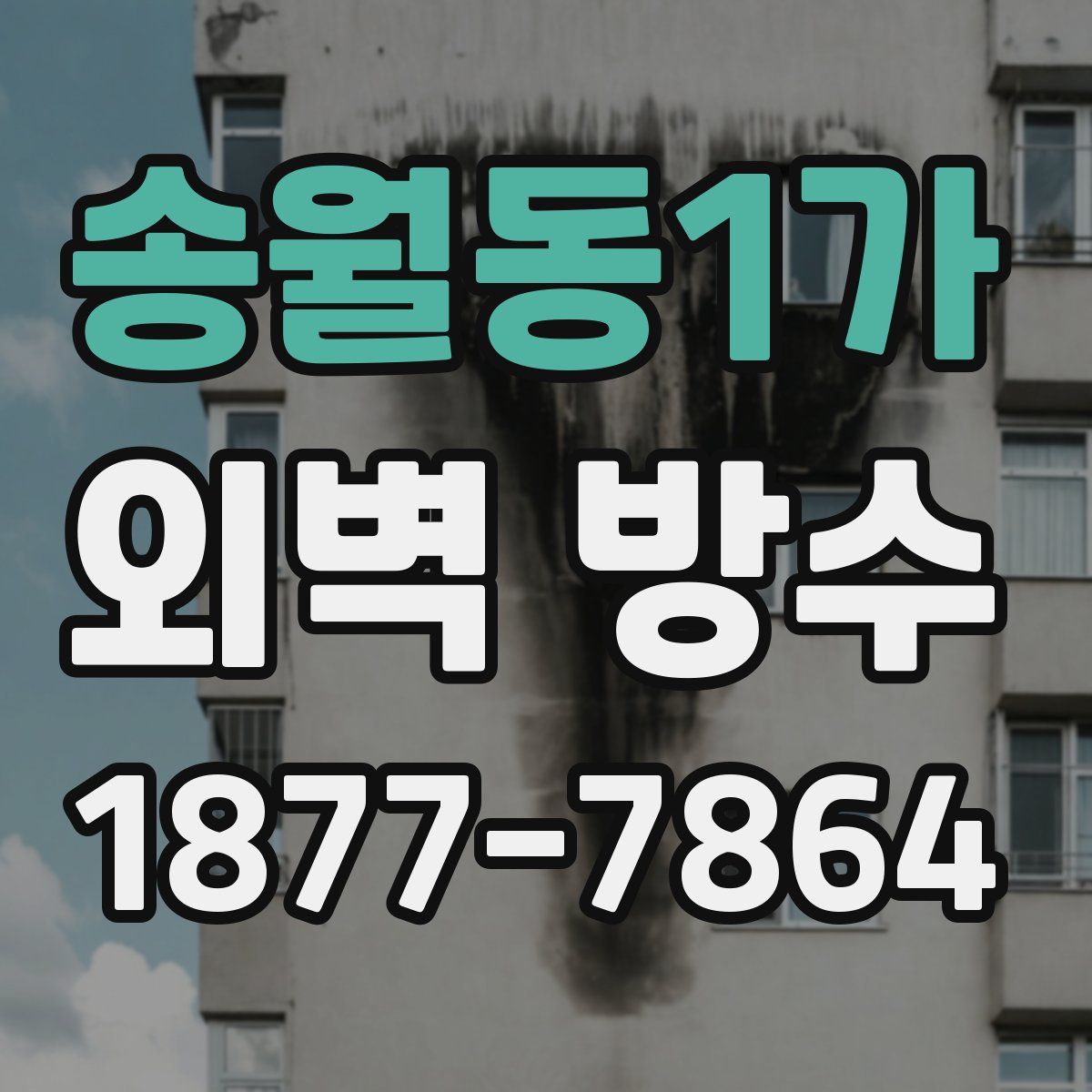 송월동1가 외벽 방수