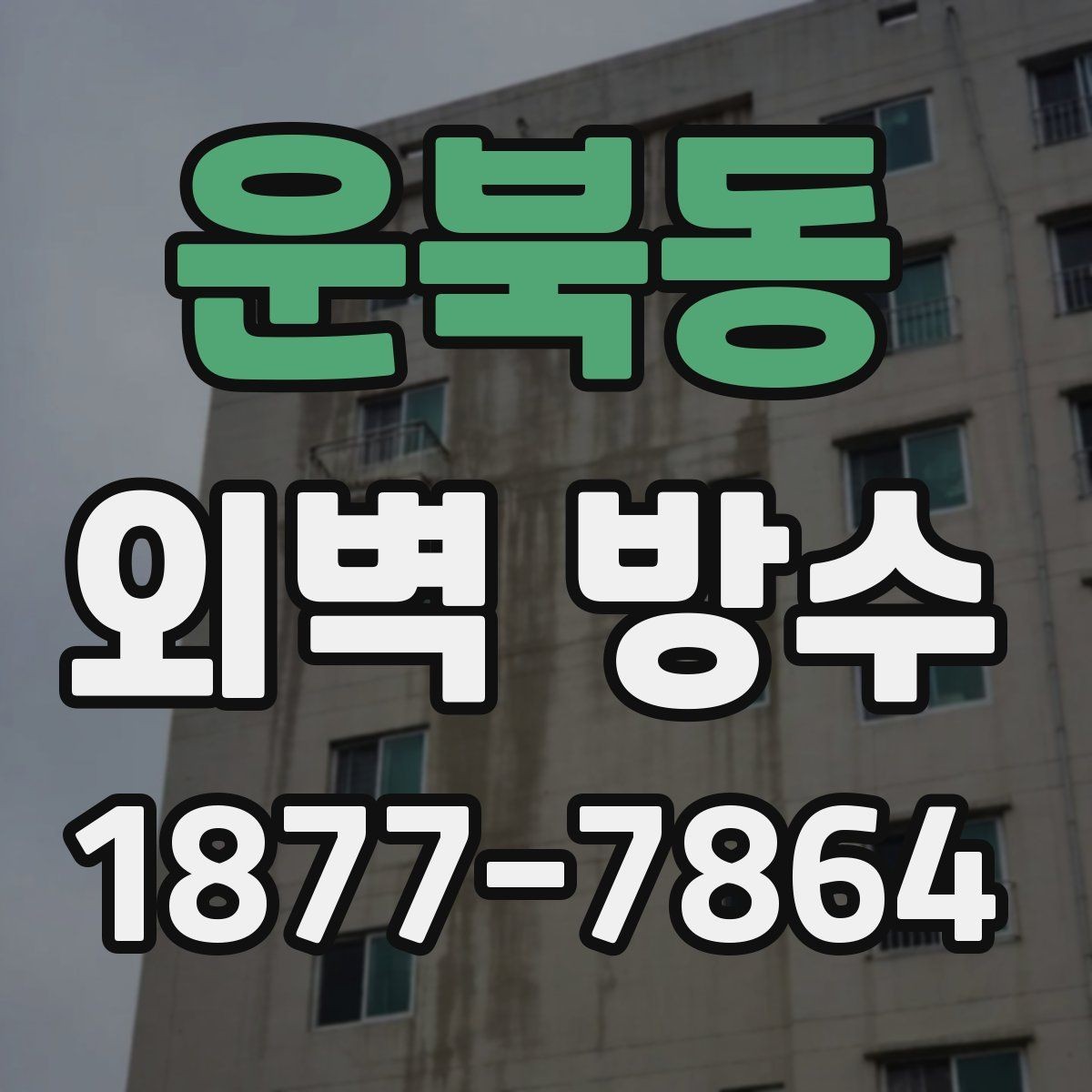 운북동 외벽 방수 처리 전 건물 외관 상태 점검