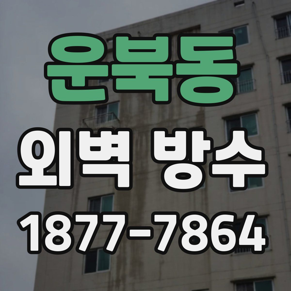 운북동 외벽 방수