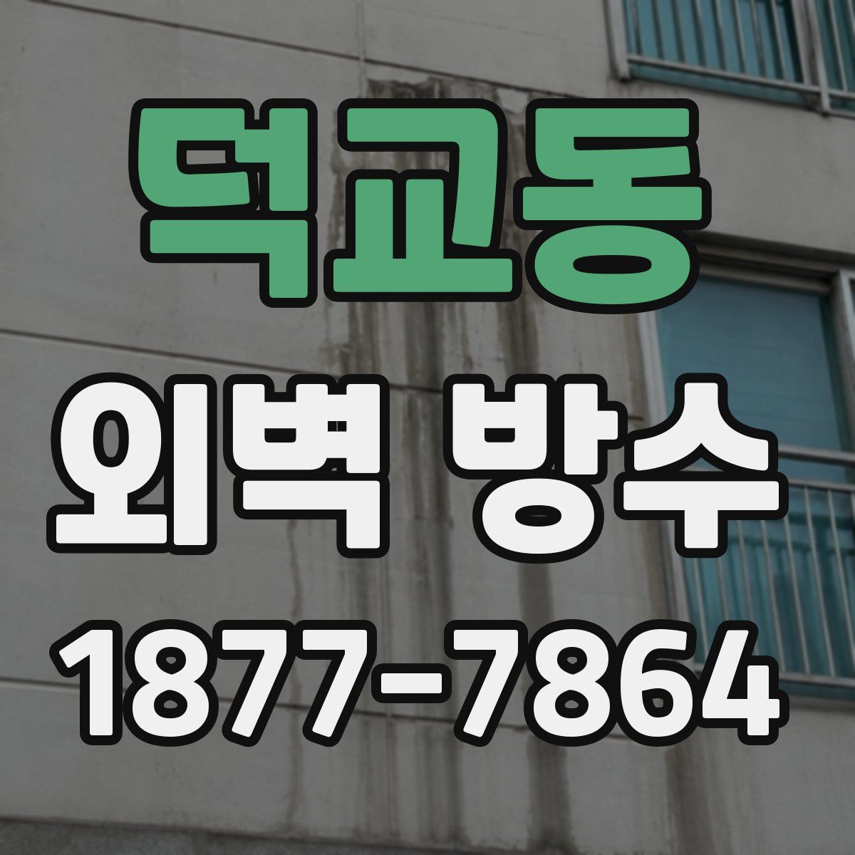덕교동 외벽 방수