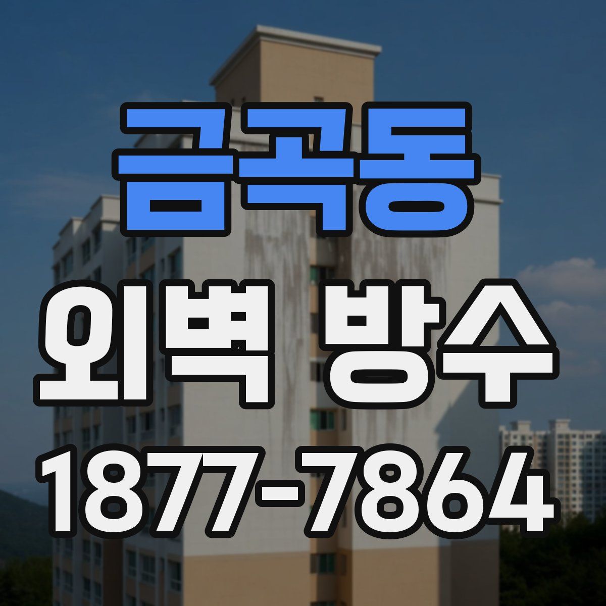 금곡동 외벽 방수
