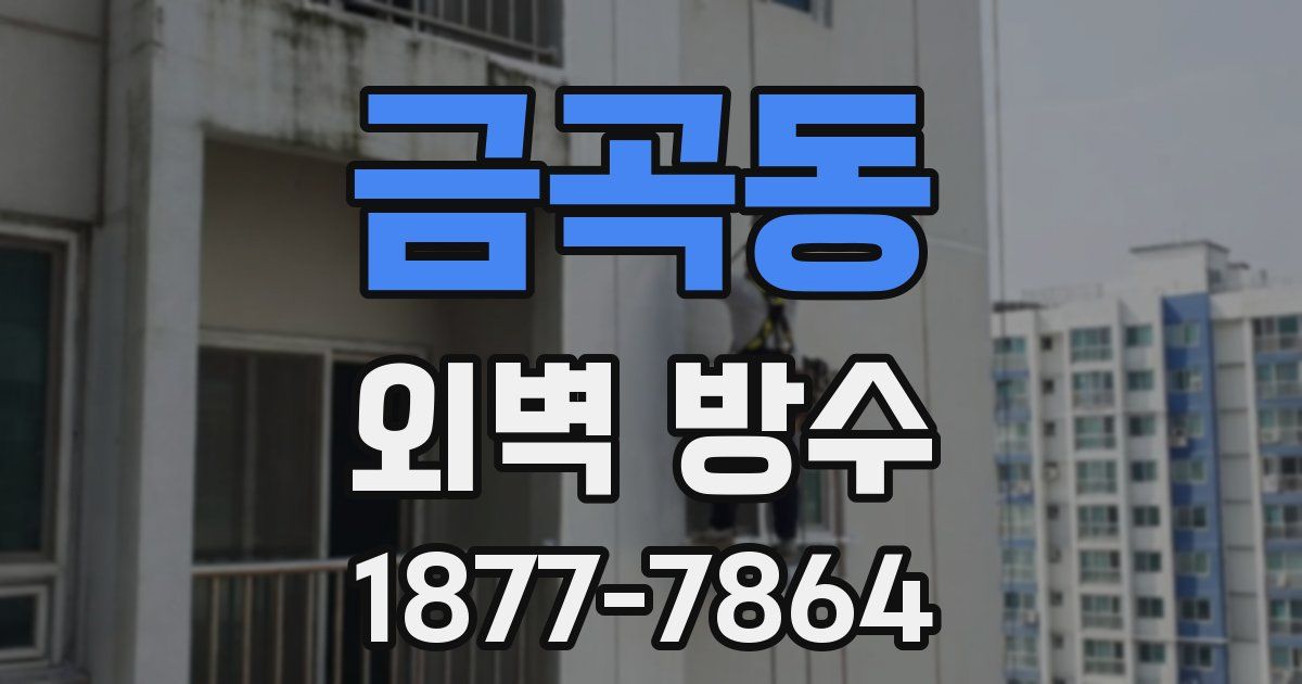 금곡동 외벽 방수