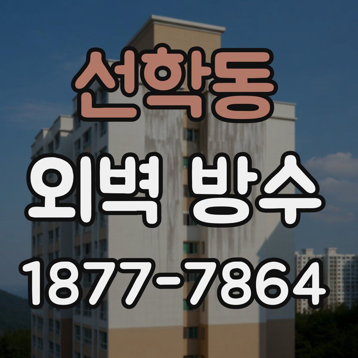 선학동 외벽 방수