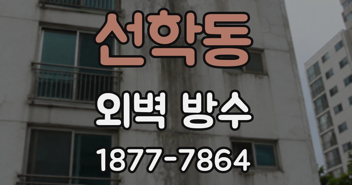 선학동 외벽 방수