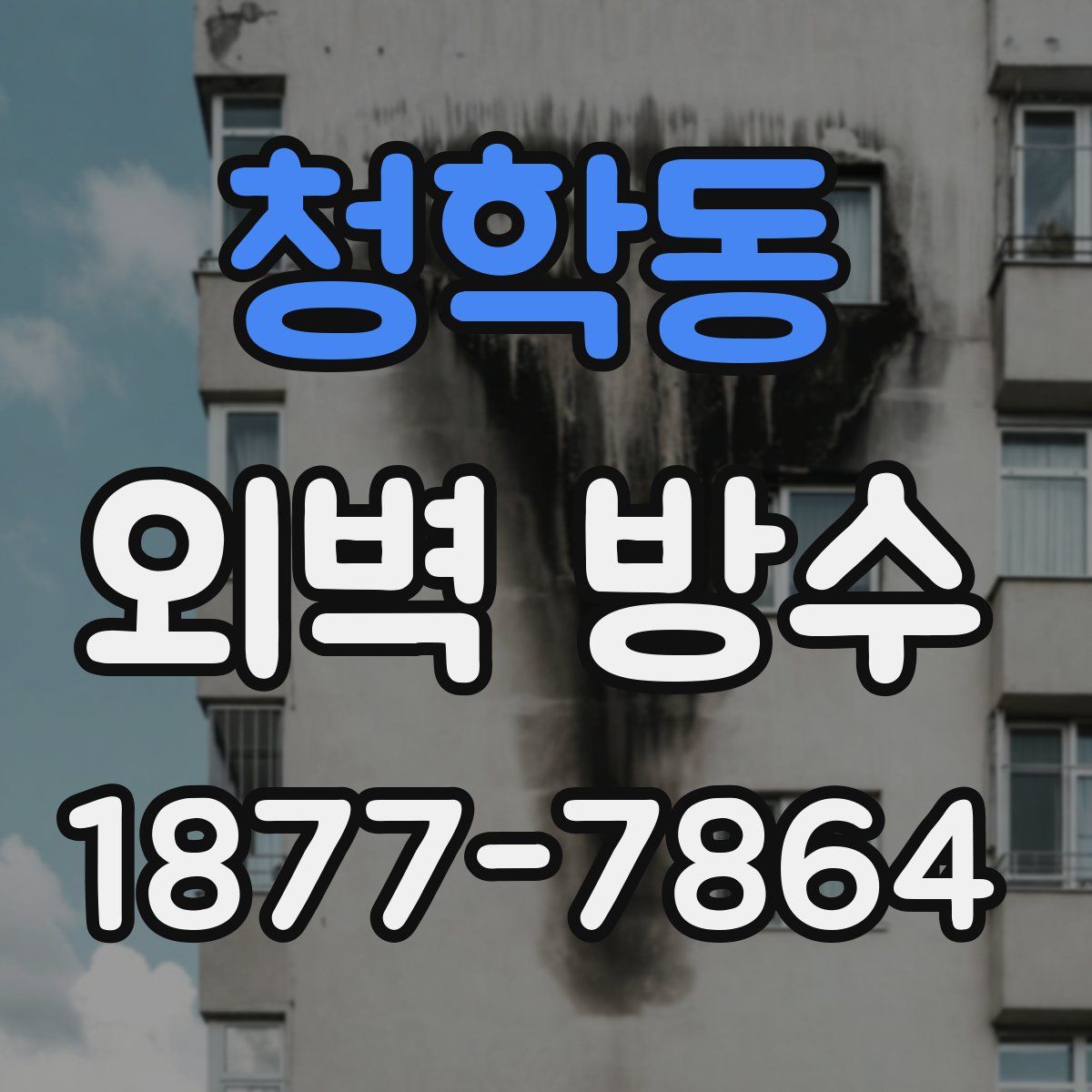 청학동 외벽 방수
