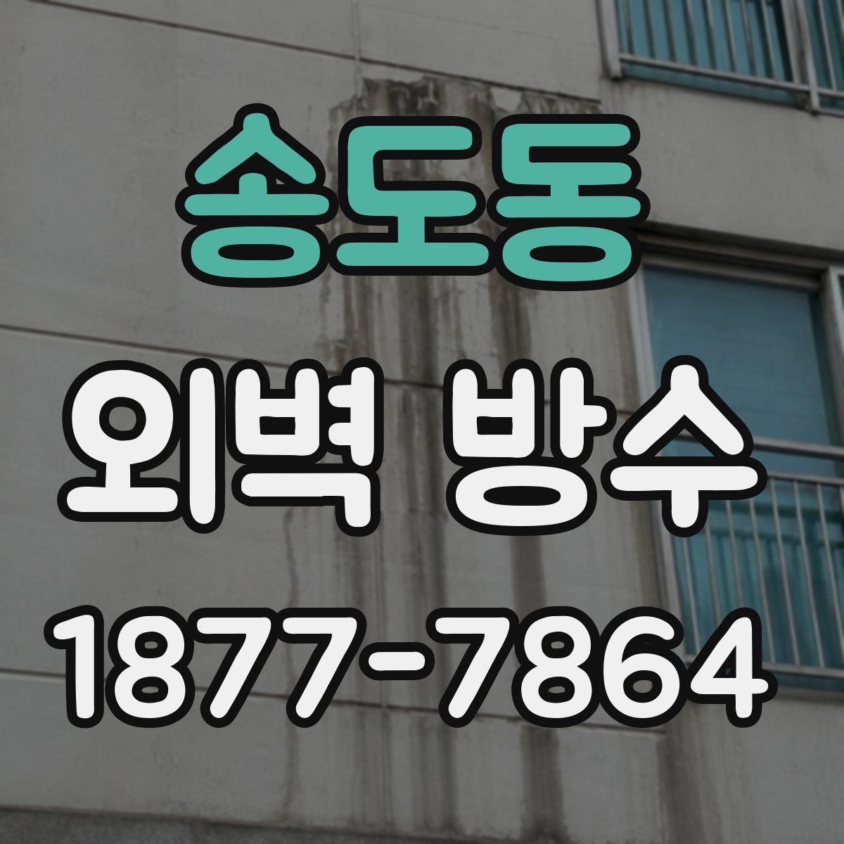 송도동 외벽 방수