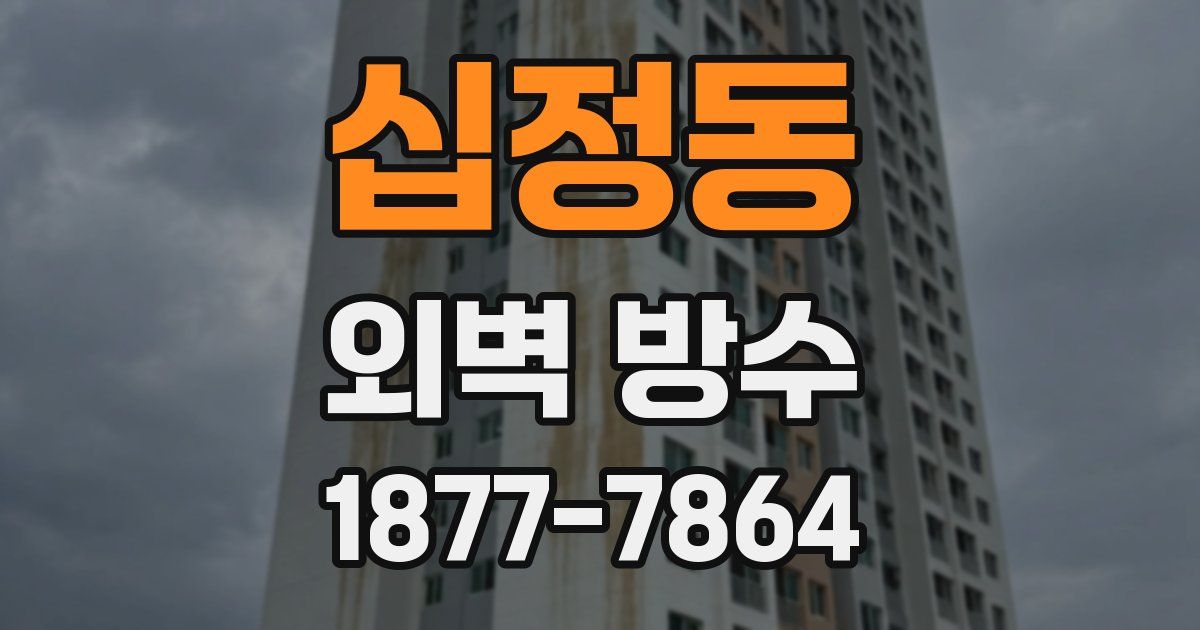 십정동 외벽 방수