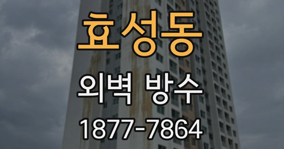 효성동 외벽 방수