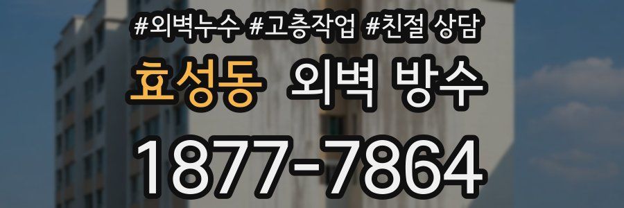 효성동 외벽 방수