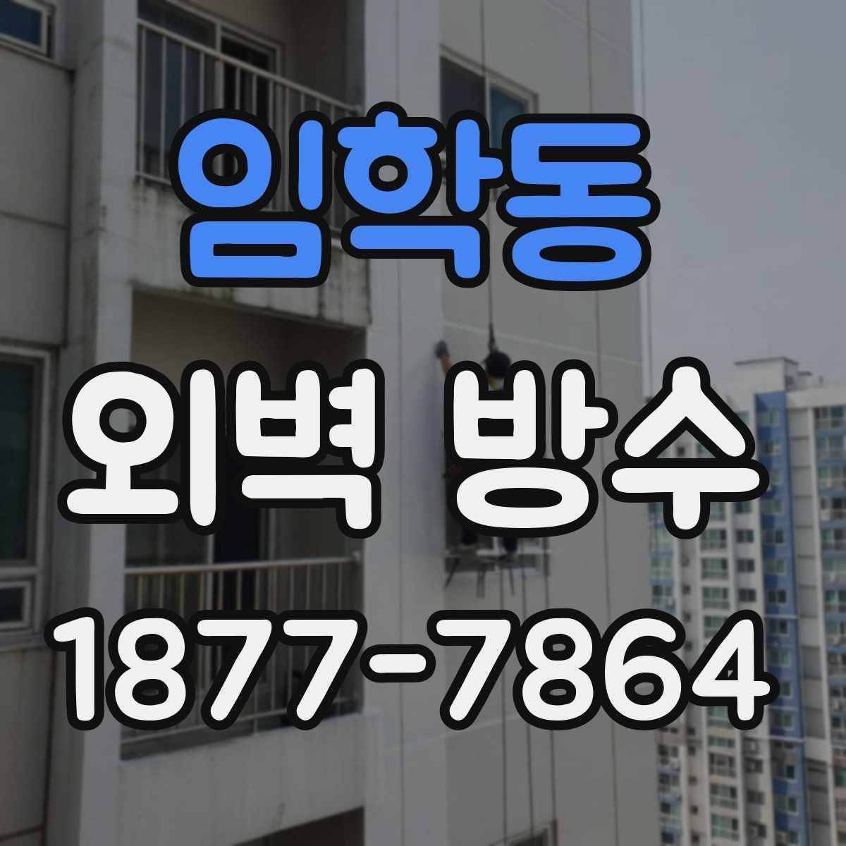 임학동 외벽 방수