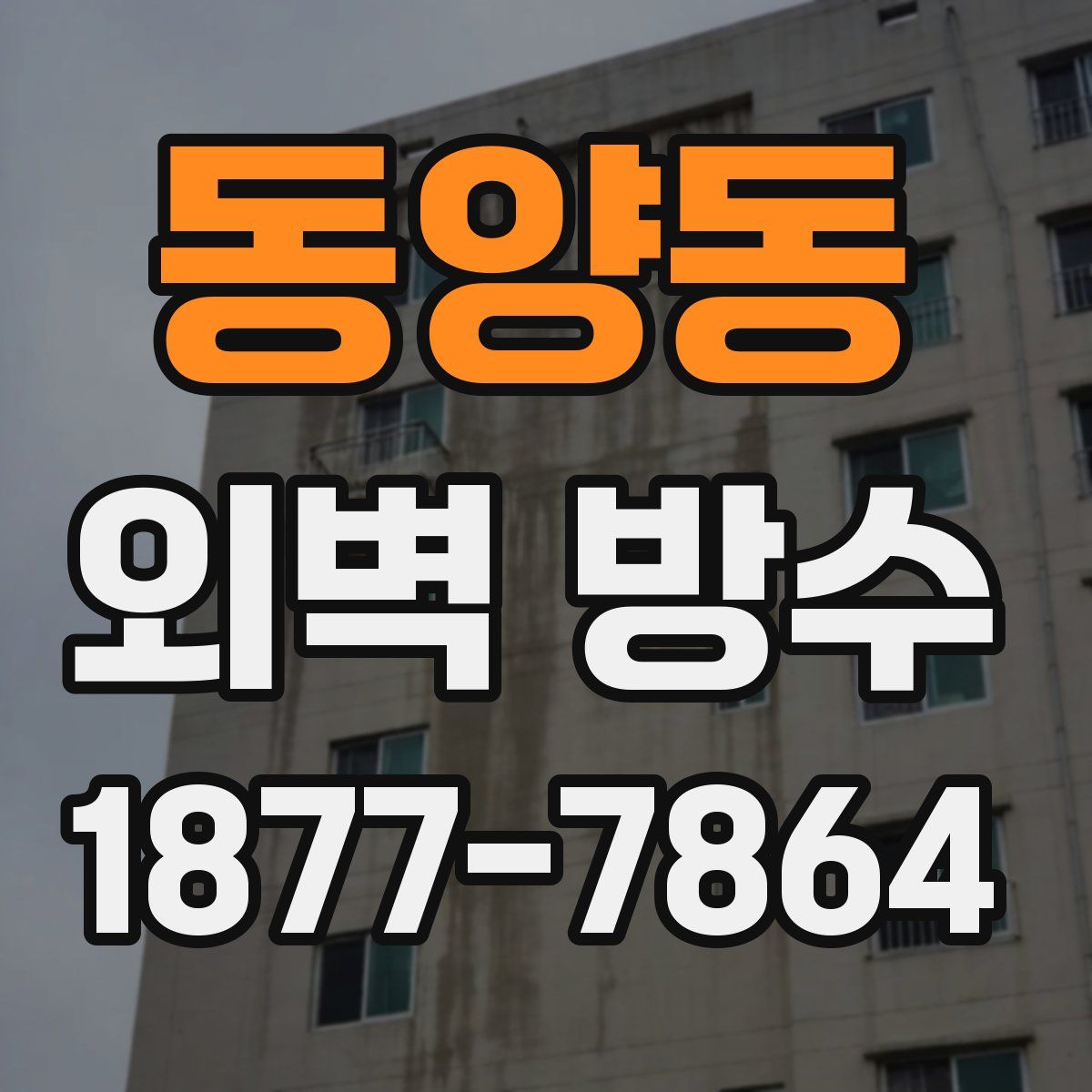 동양동 외벽 방수