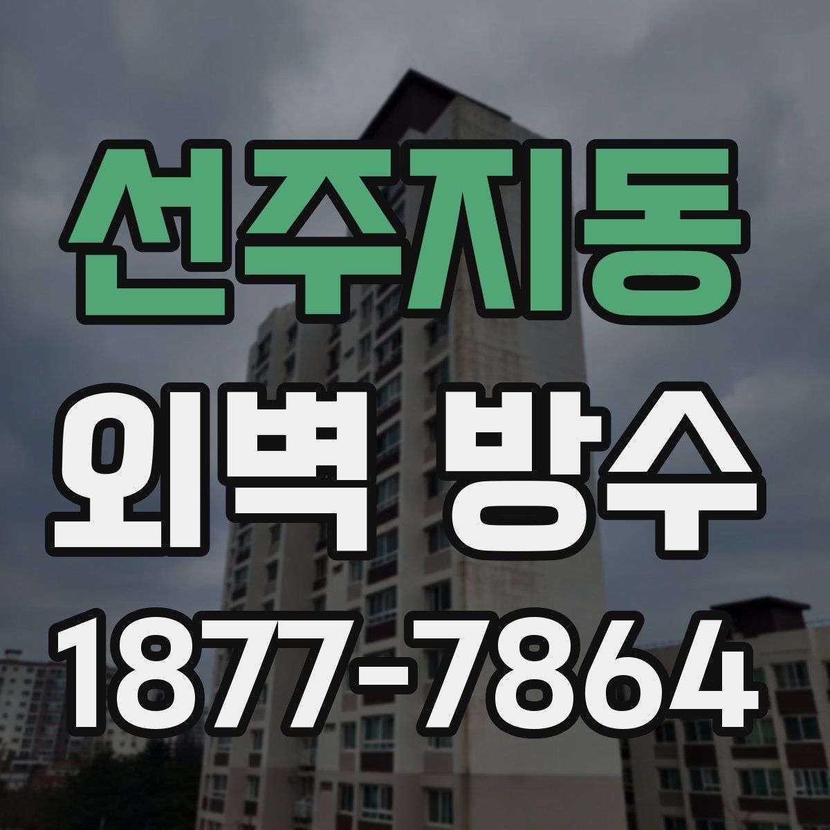선주지동 외벽 방수