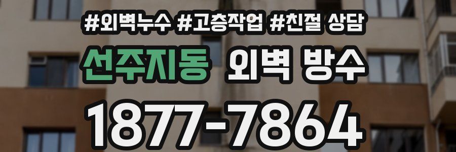 선주지동 외벽 방수