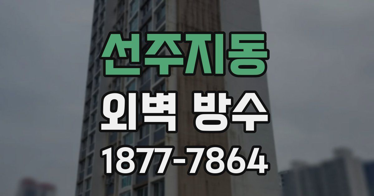 선주지동 외벽 방수