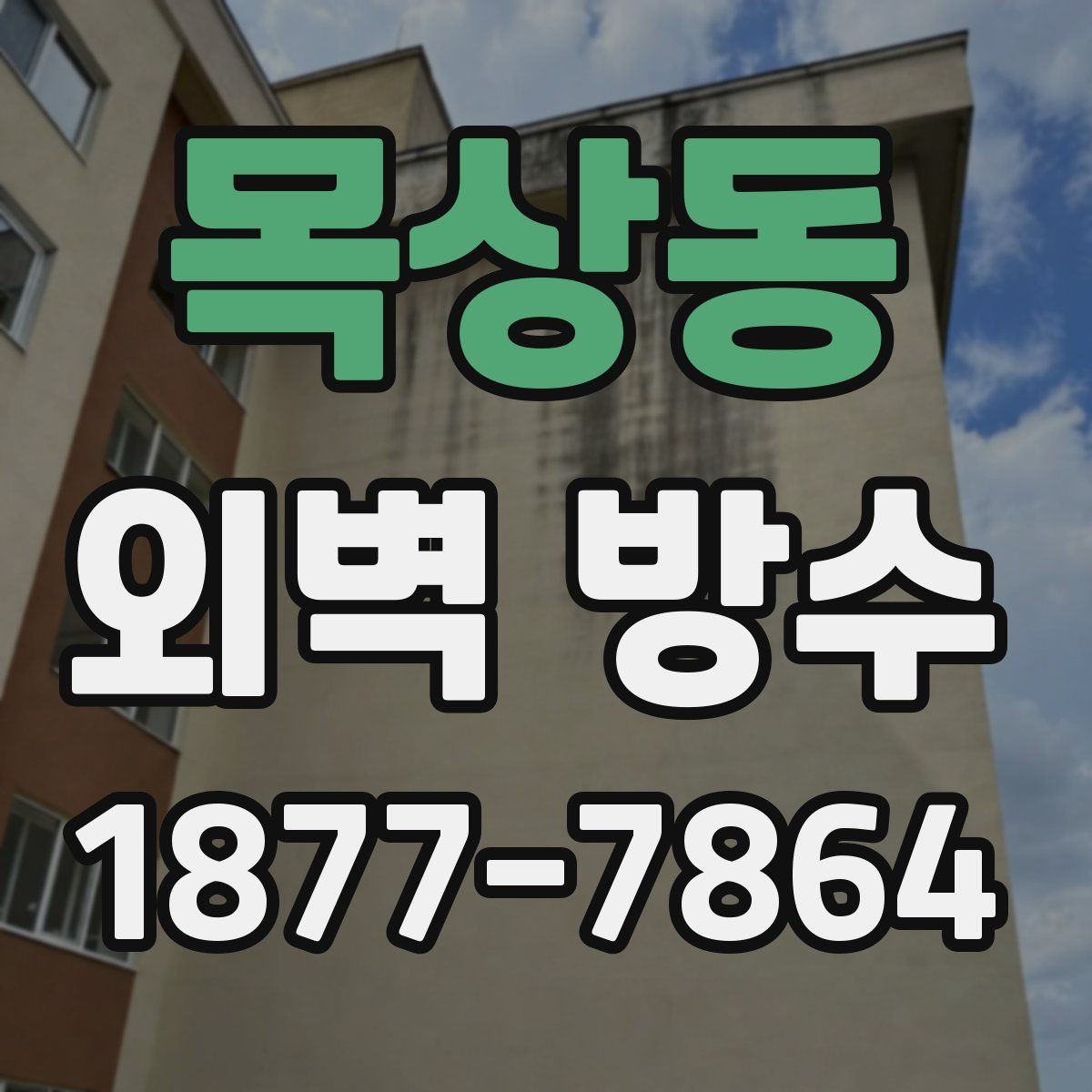 목상동 외벽 방수