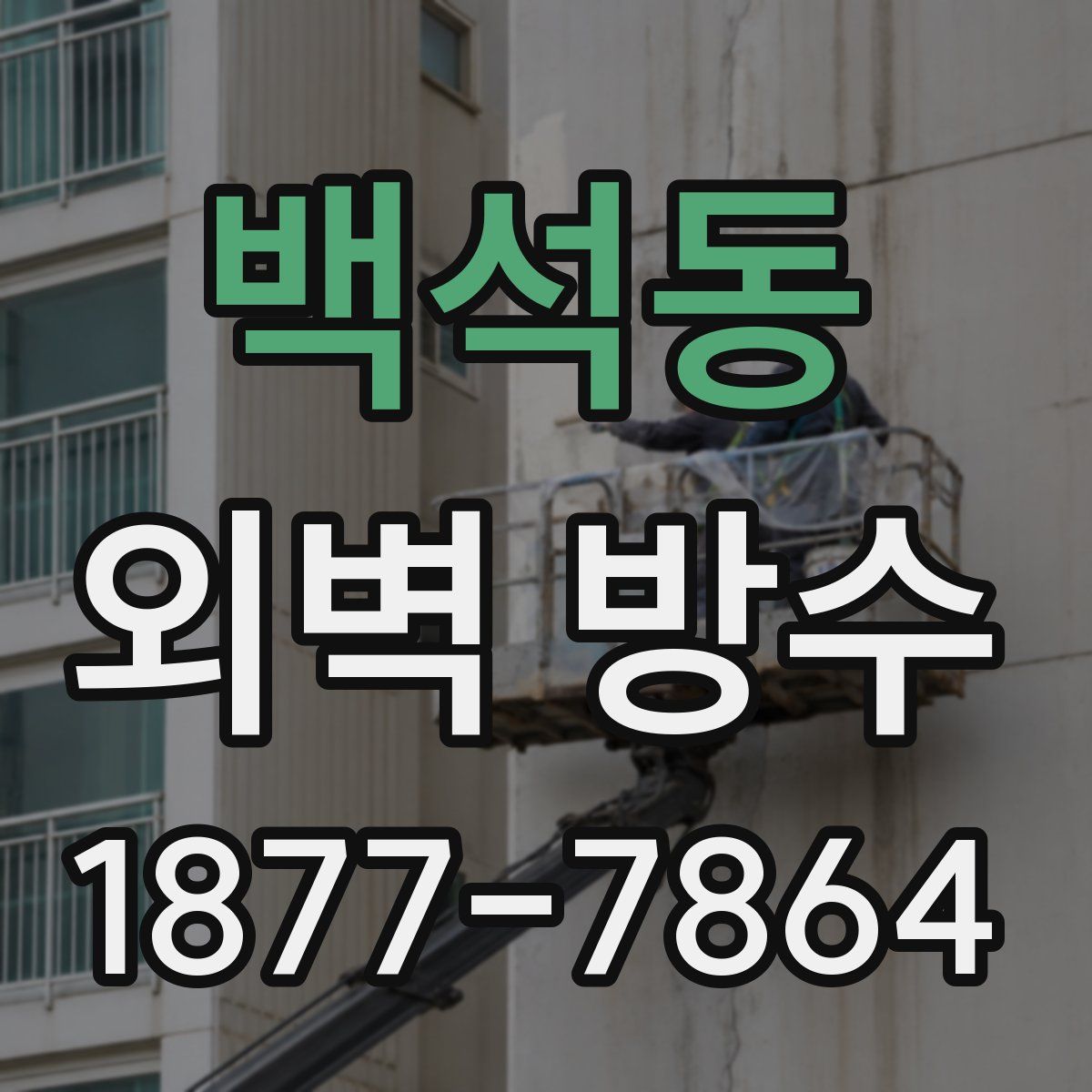 백석동 외벽 방수