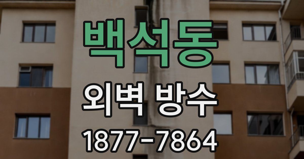백석동 외벽 방수