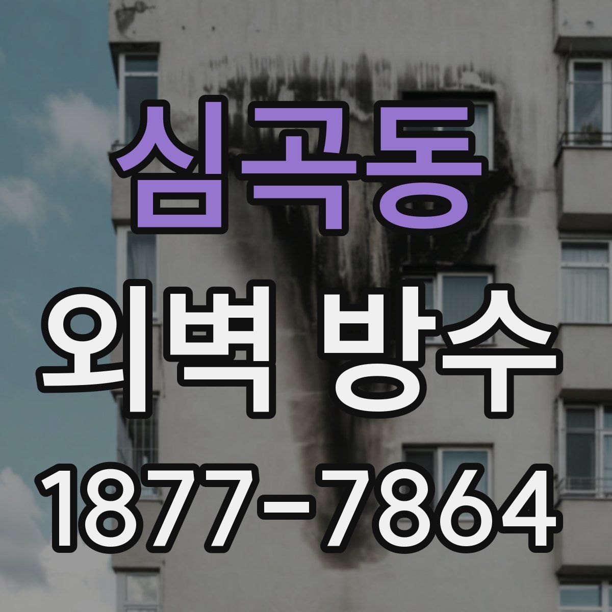 심곡동 외벽 방수