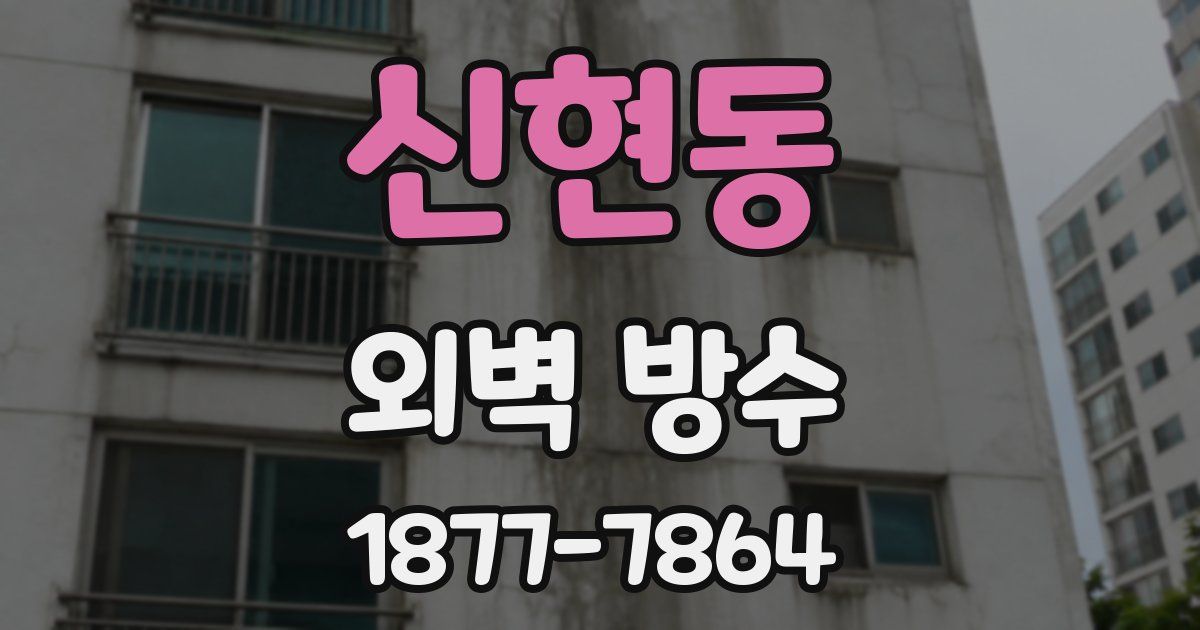 신현동 외벽 방수