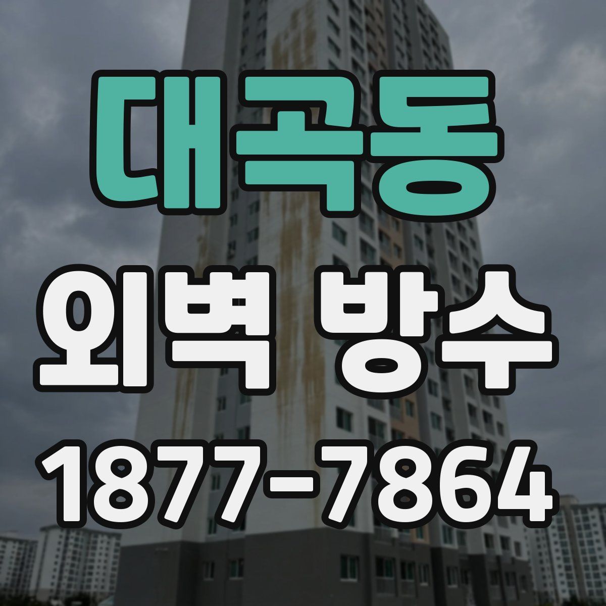 대곡동 외벽 방수
