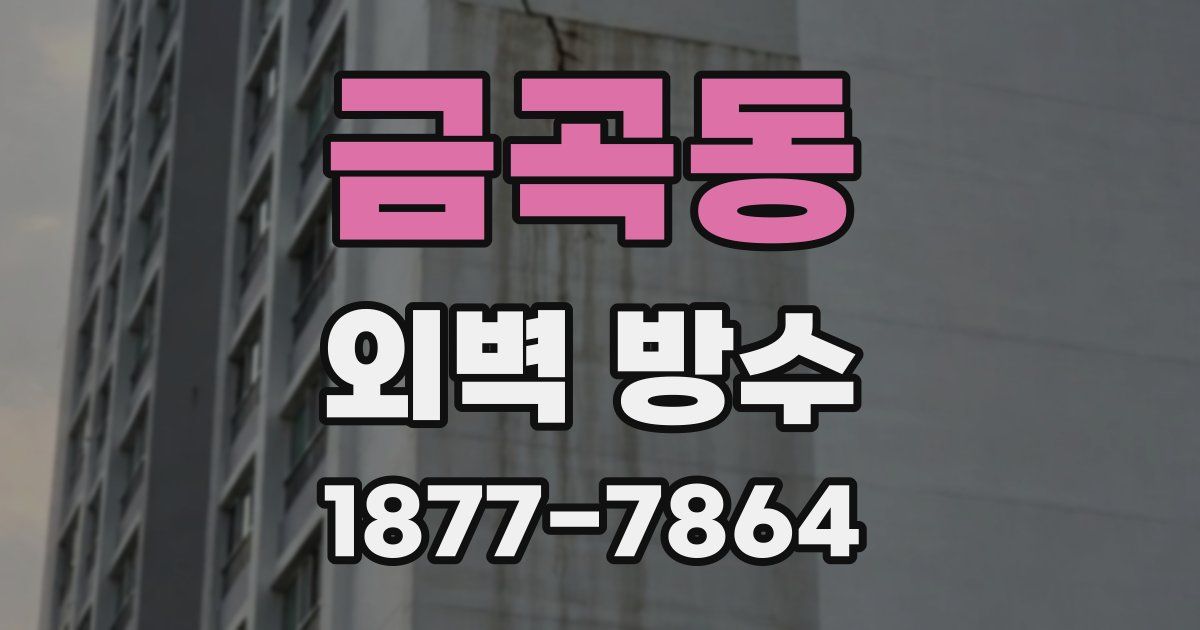 금곡동 외벽 방수