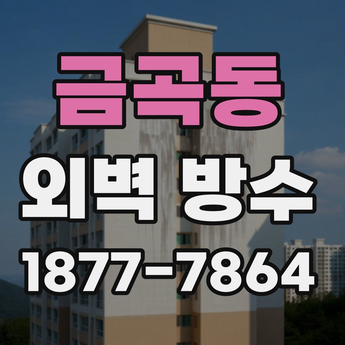 금곡동 외벽 방수