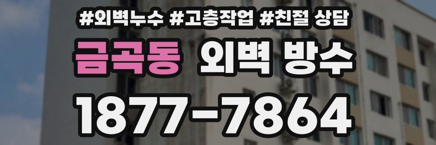금곡동 외벽 방수