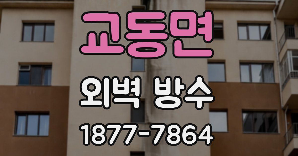 교동면 외벽 방수