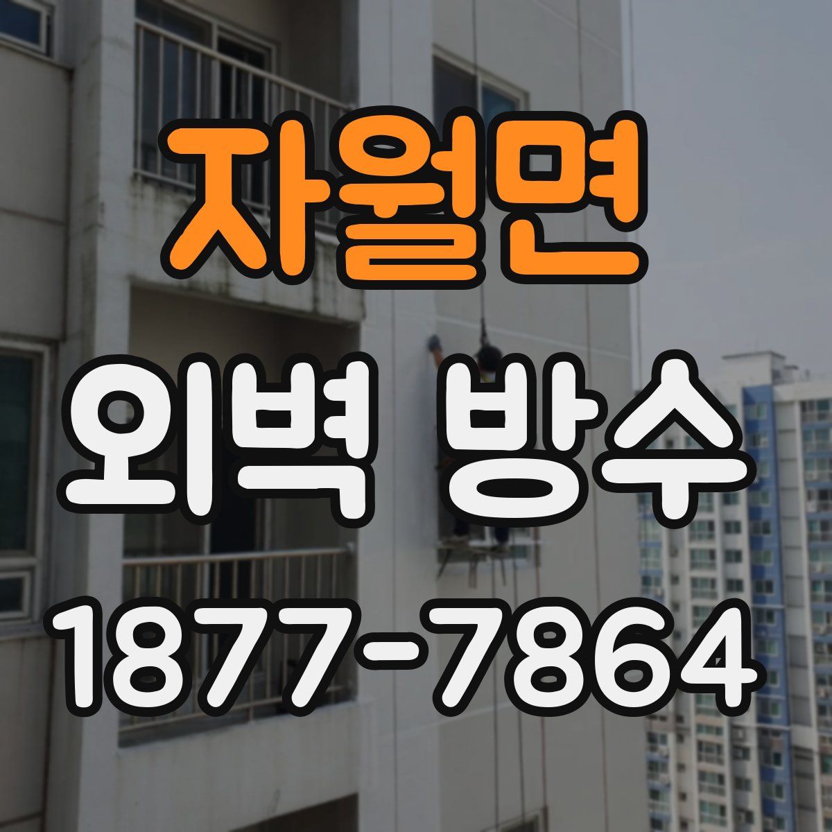 자월면 외벽 방수