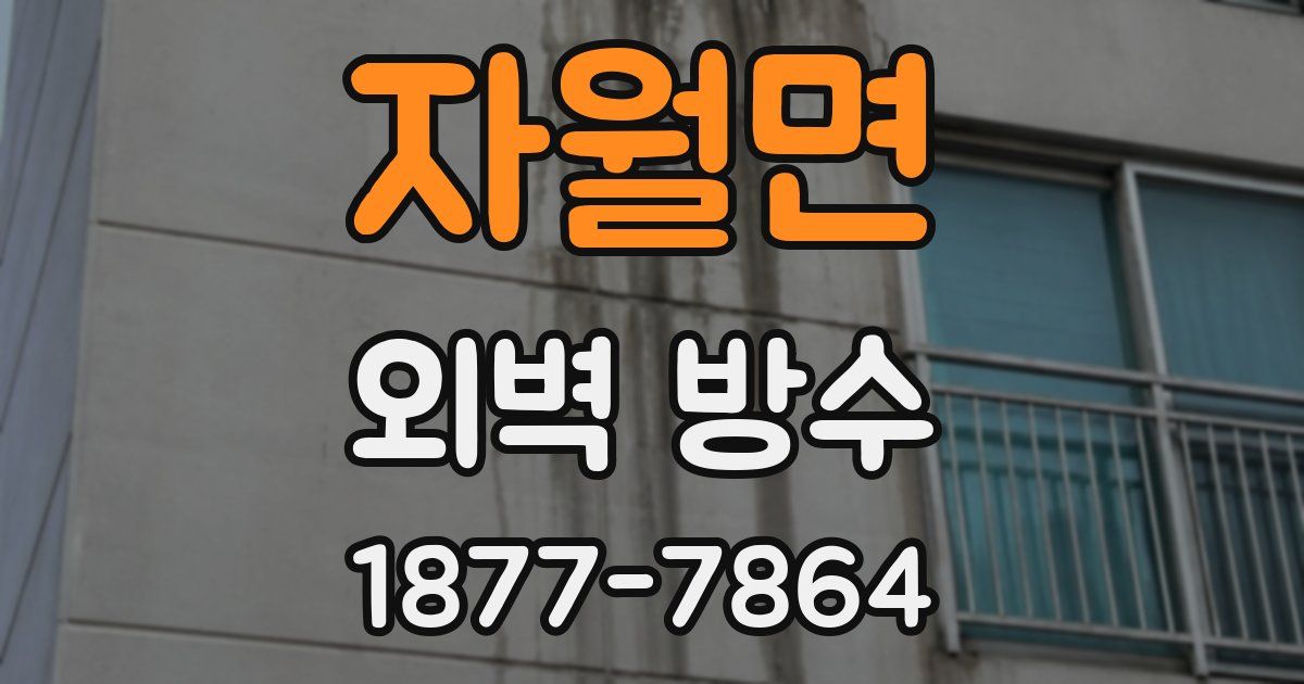 자월면 외벽 방수