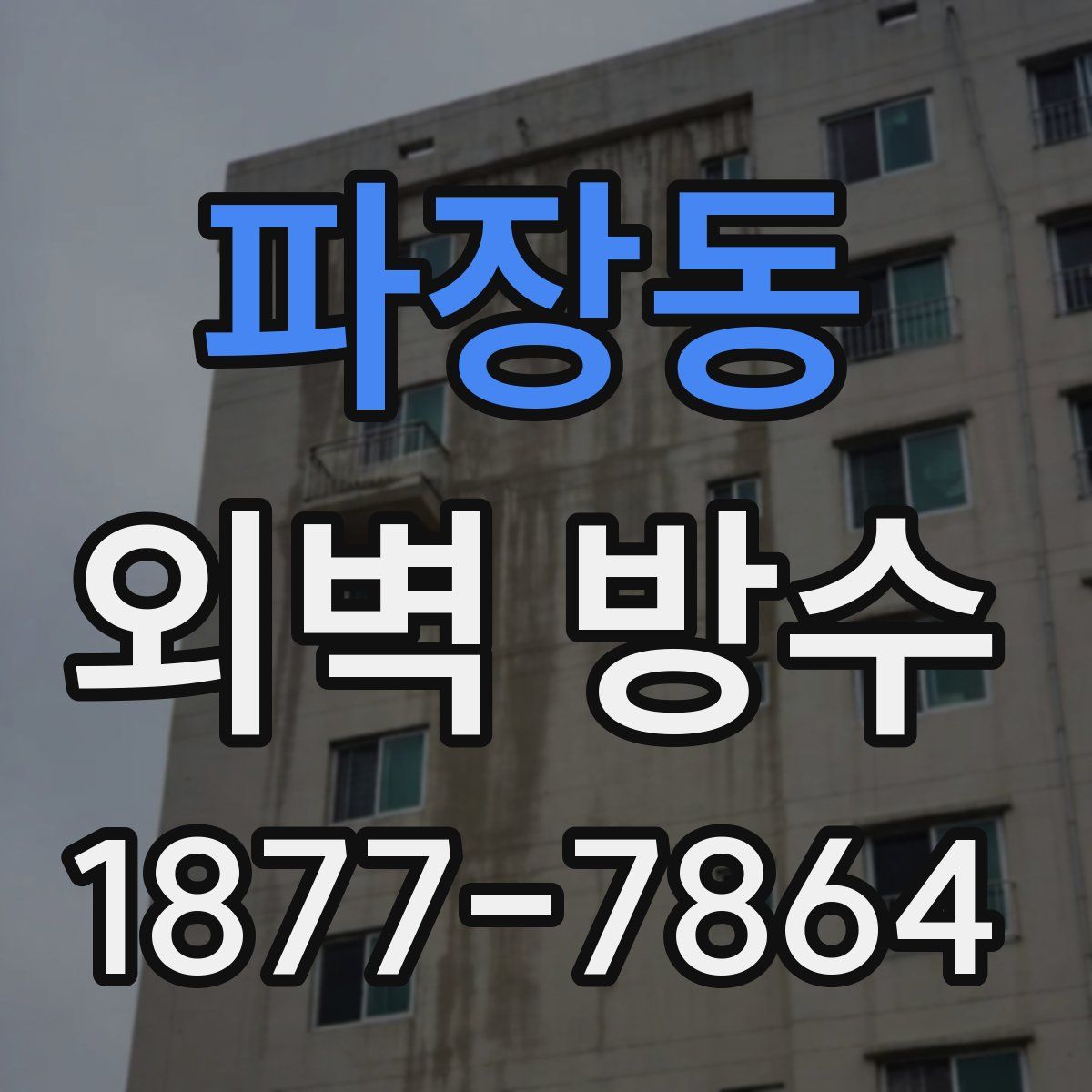 파장동 외벽 방수