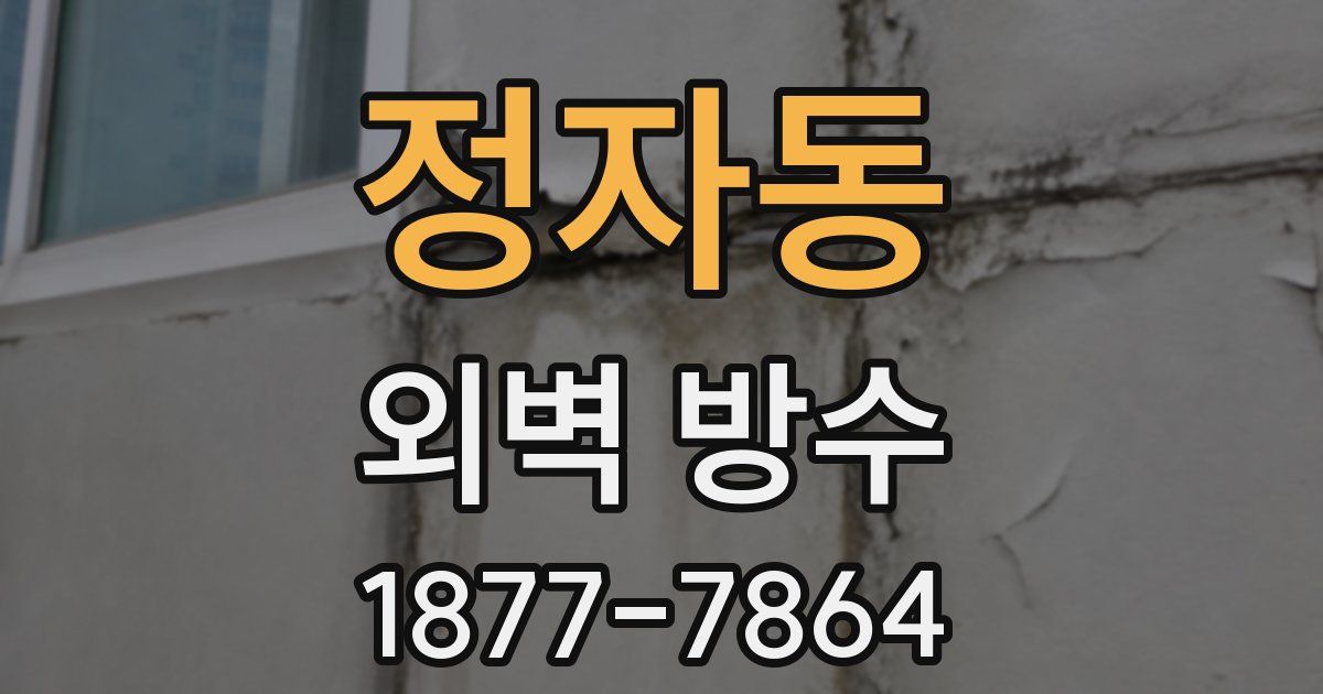 정자동 외벽 방수