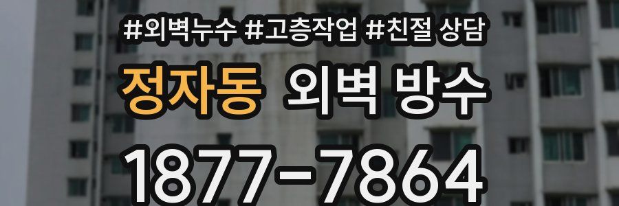 정자동 외벽 방수