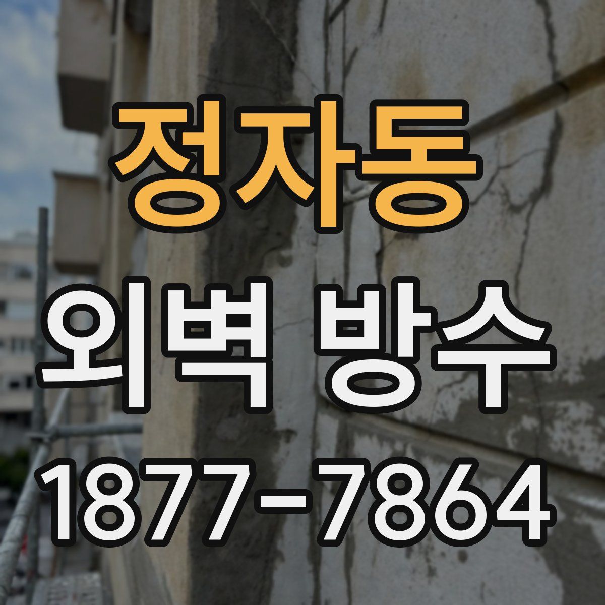 정자동 외벽 방수