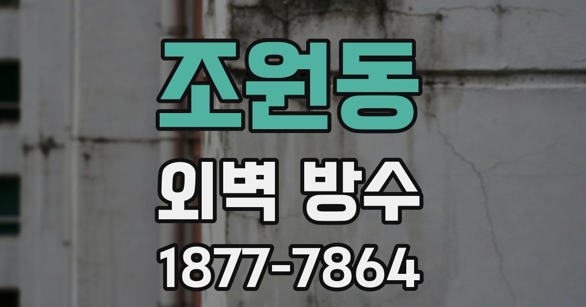 조원동 외벽 방수
