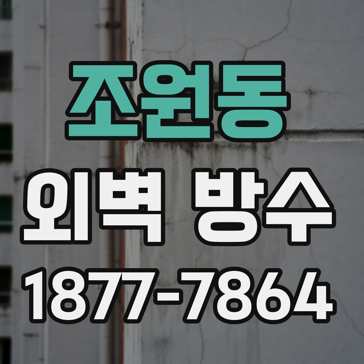 조원동 외벽 방수