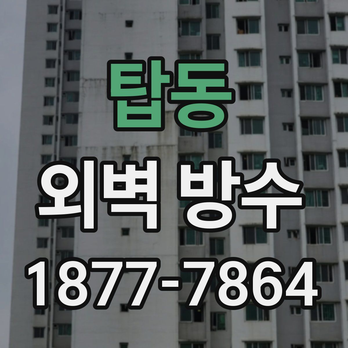 탑동 외벽 방수