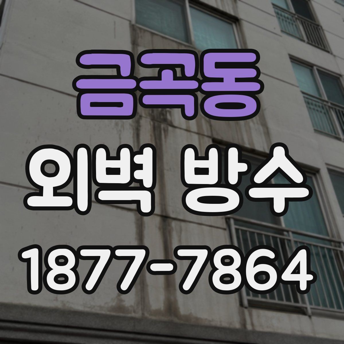 금곡동 외벽 방수 유지보수를 위한 기본 관리