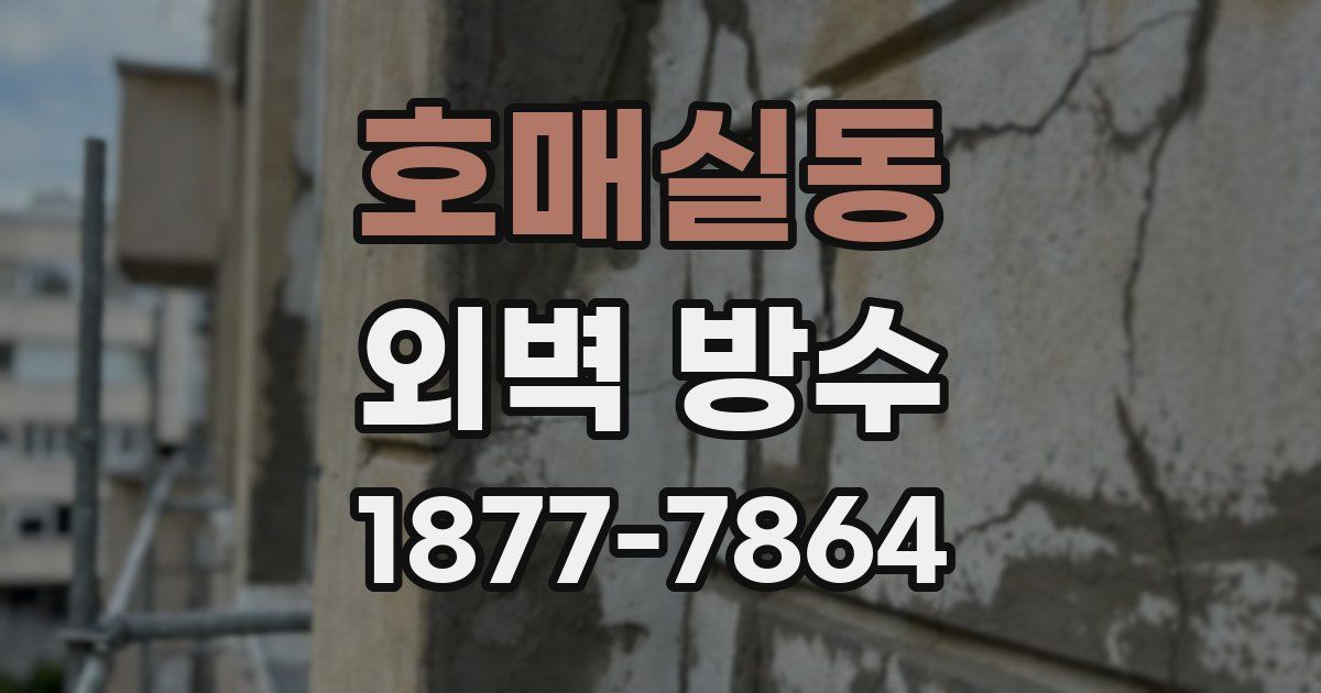 호매실동 외벽 방수