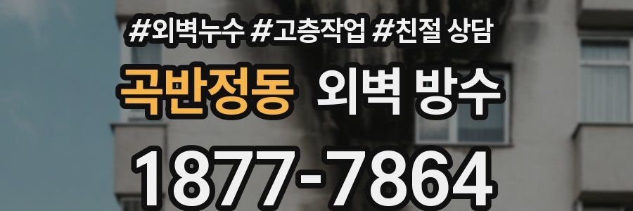 곡반정동 외벽 방수
