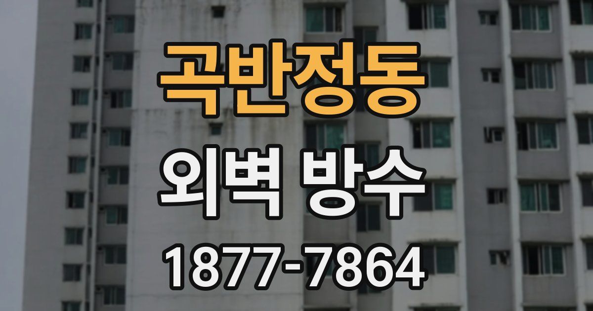 곡반정동 외벽 방수
