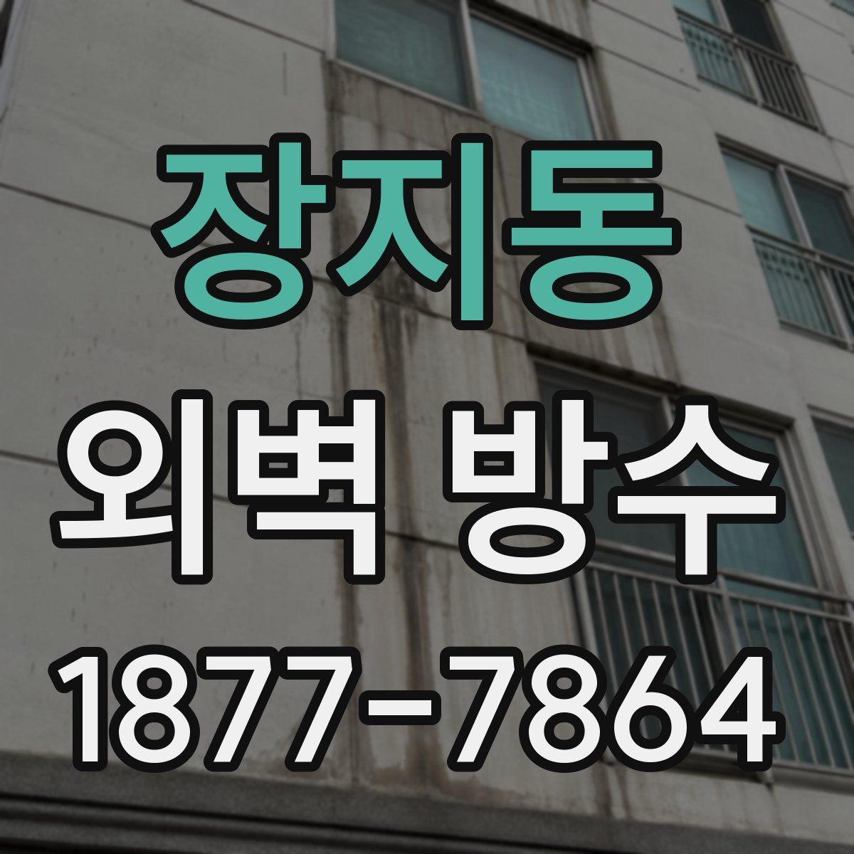 장지동 외벽 방수