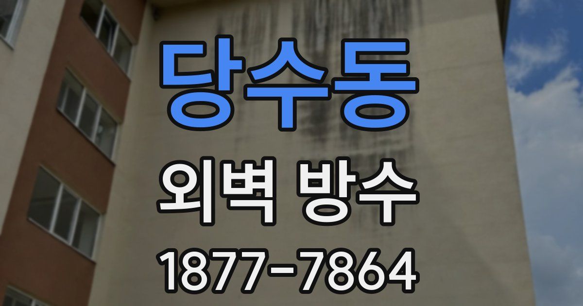 당수동 외벽 방수
